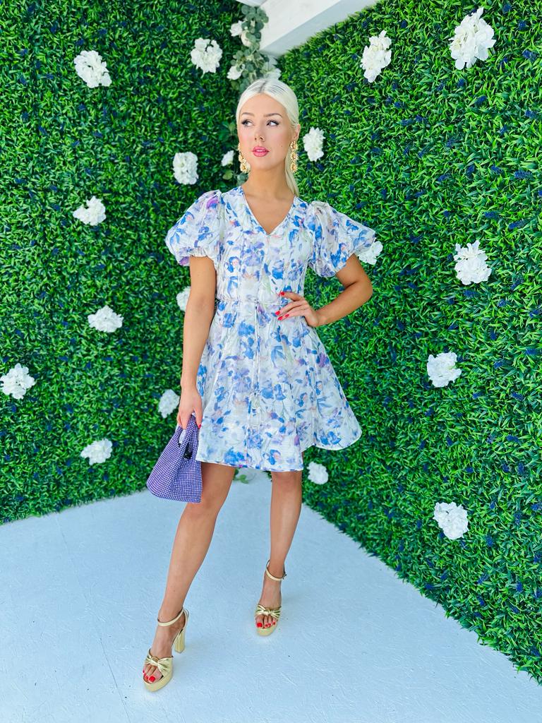 Hanna Mini Dress Blue Floral