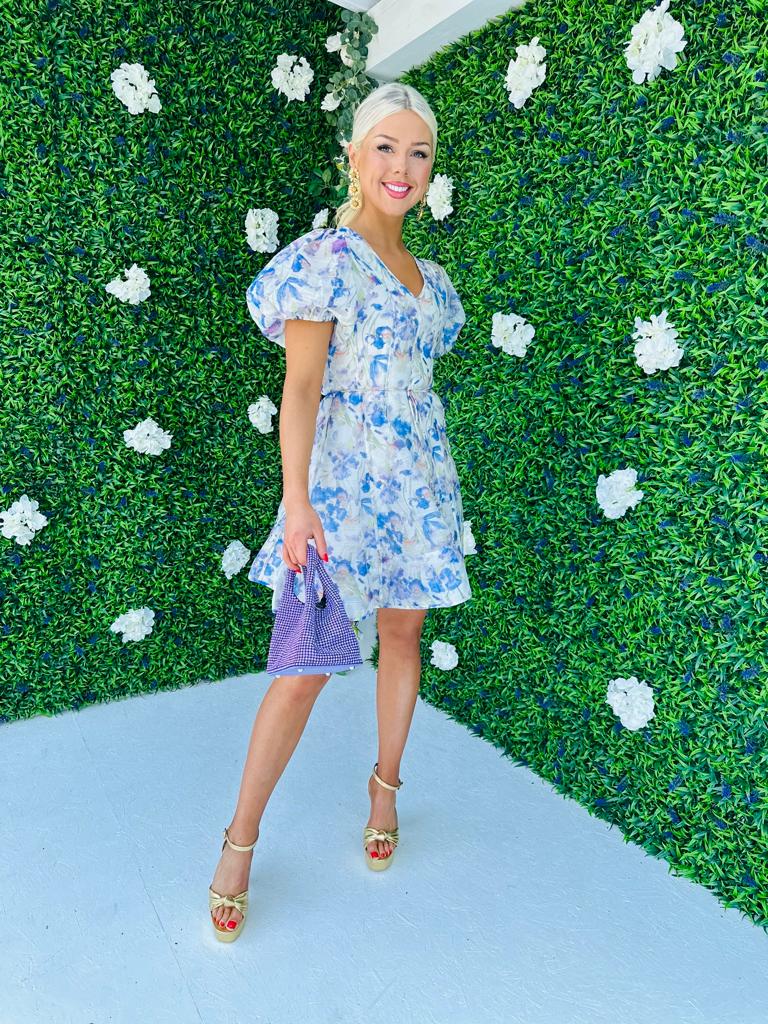Hanna Mini Dress Blue Floral