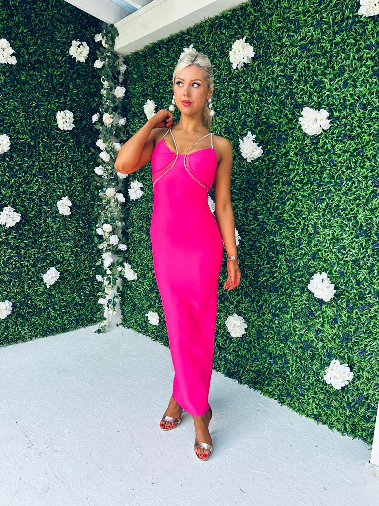 Eva Embellished Maxi Dress Pink