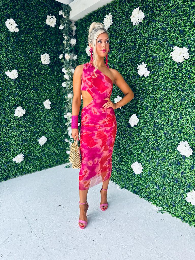 Ely Mesh Midi Dress Ruby