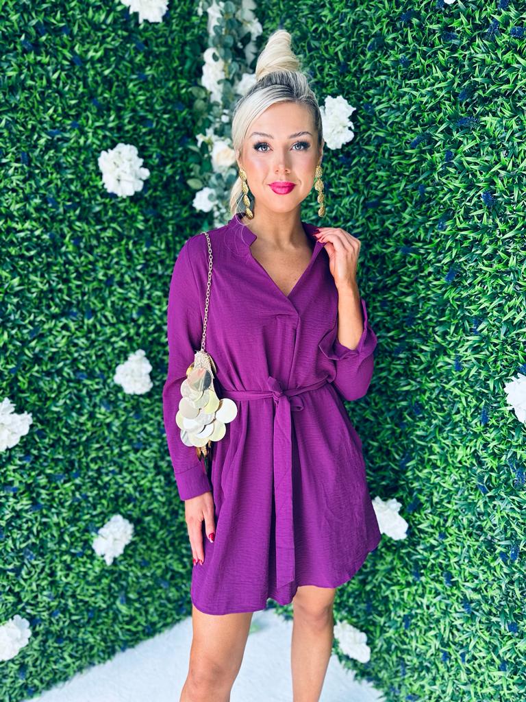 Sabrina Skater Mini Dress Berry