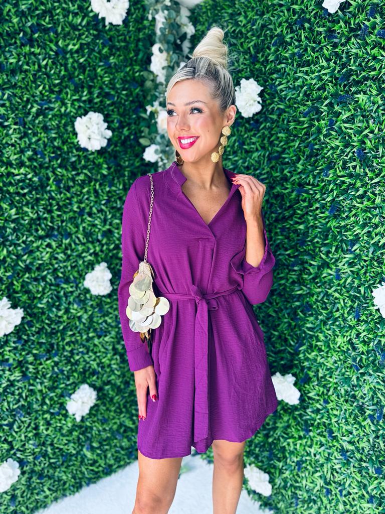 Sabrina Skater Mini Dress Berry