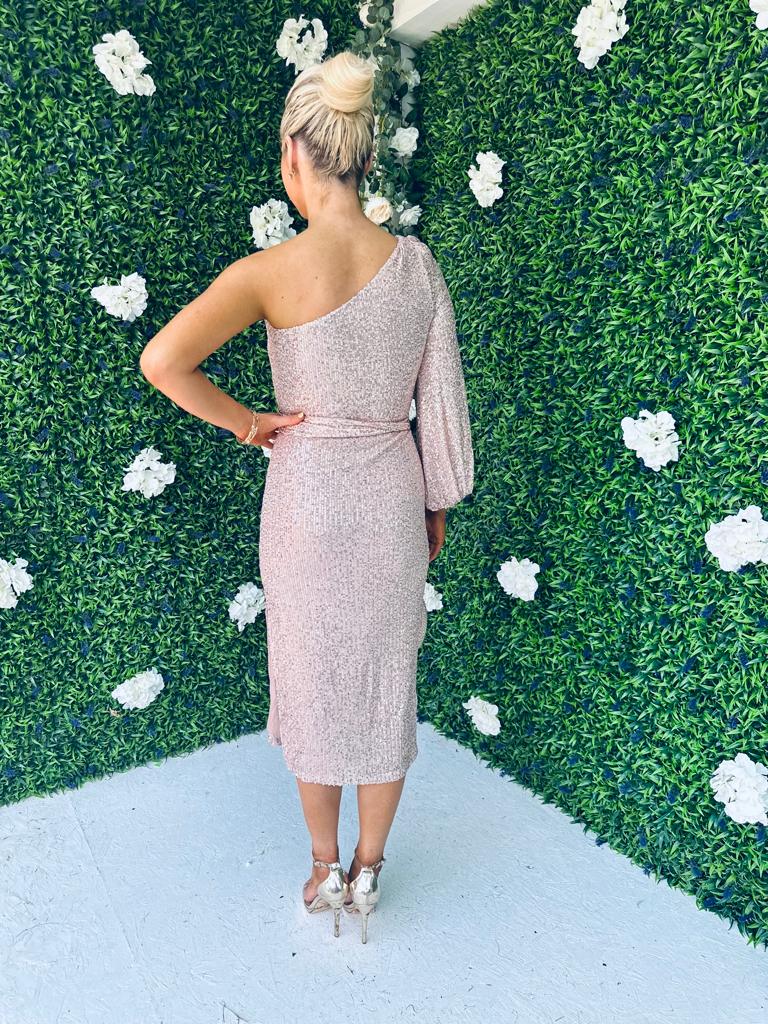 Meghan Sequin One Shoulder Dress