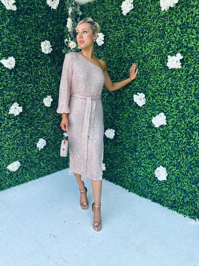 Meghan Sequin One Shoulder Dress