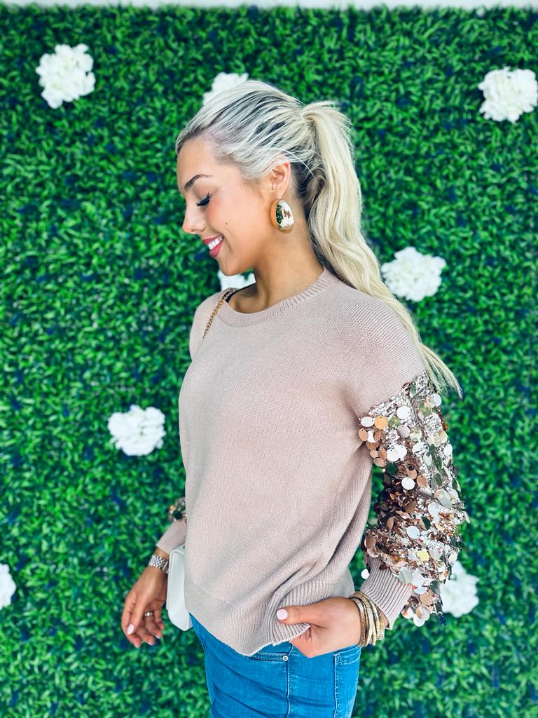 Dawson Sequin Sleeve Jumper Mauve