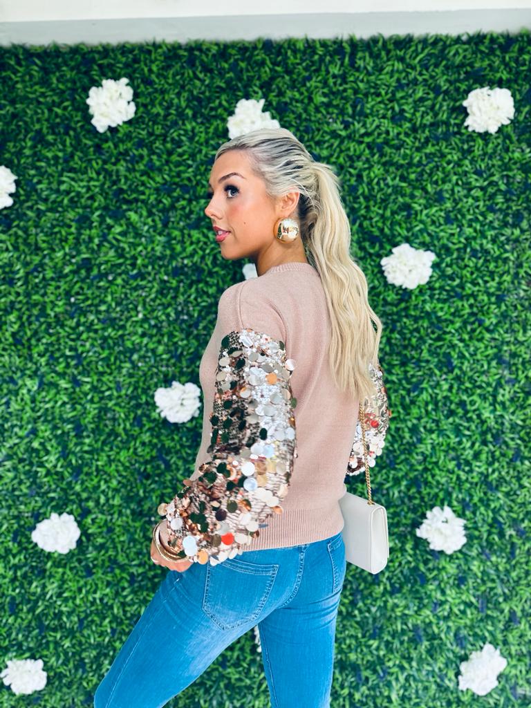 Dawson Sequin Sleeve Jumper Mauve
