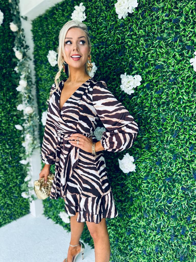 Katrina Long Sleeve Mini Dress Zebra