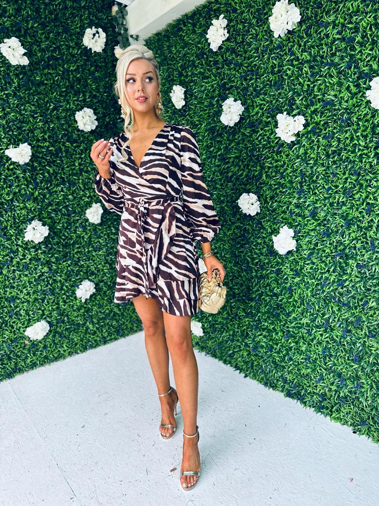 Katrina Long Sleeve Mini Dress Zebra
