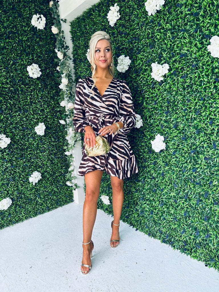 Katrina Long Sleeve Mini Dress Zebra