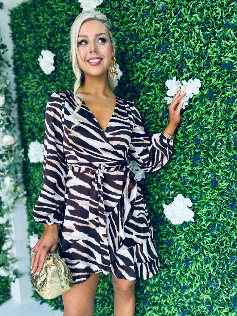 Katrina Long Sleeve Mini Dress Zebra