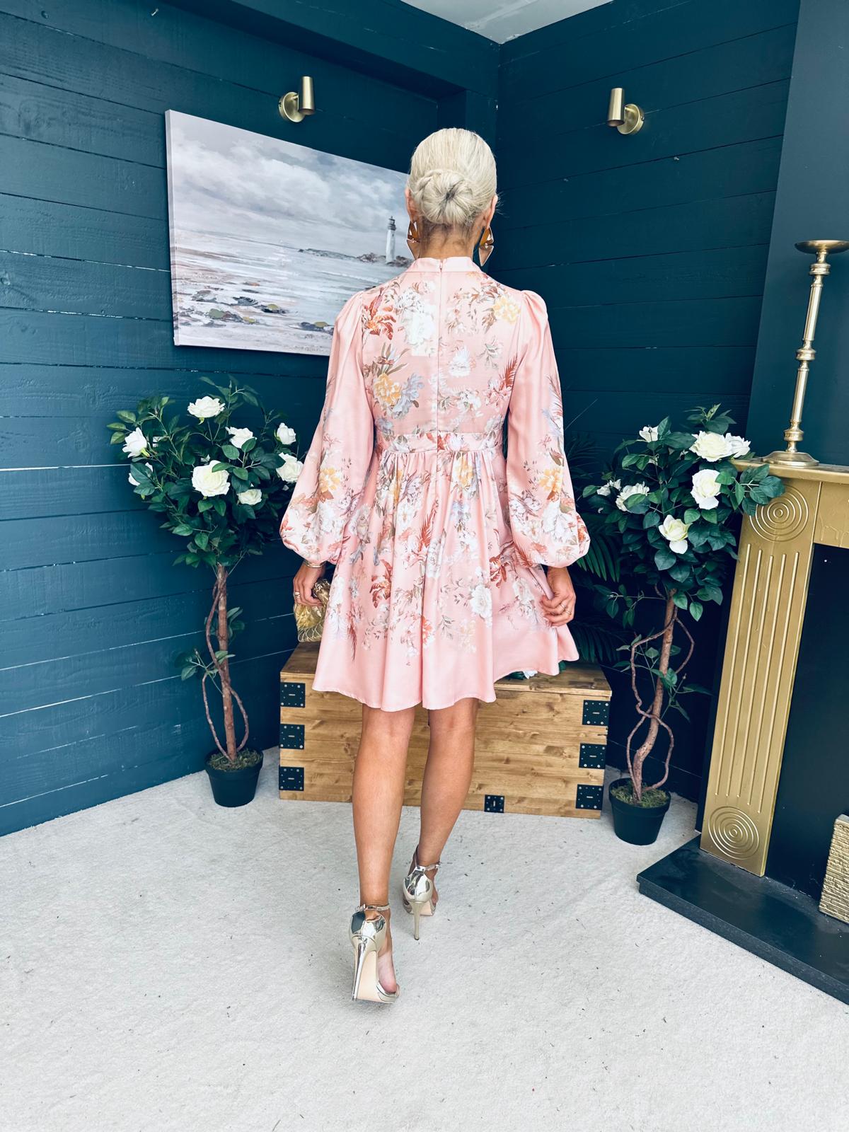 Leanne Detailed Occasion Dress Blush