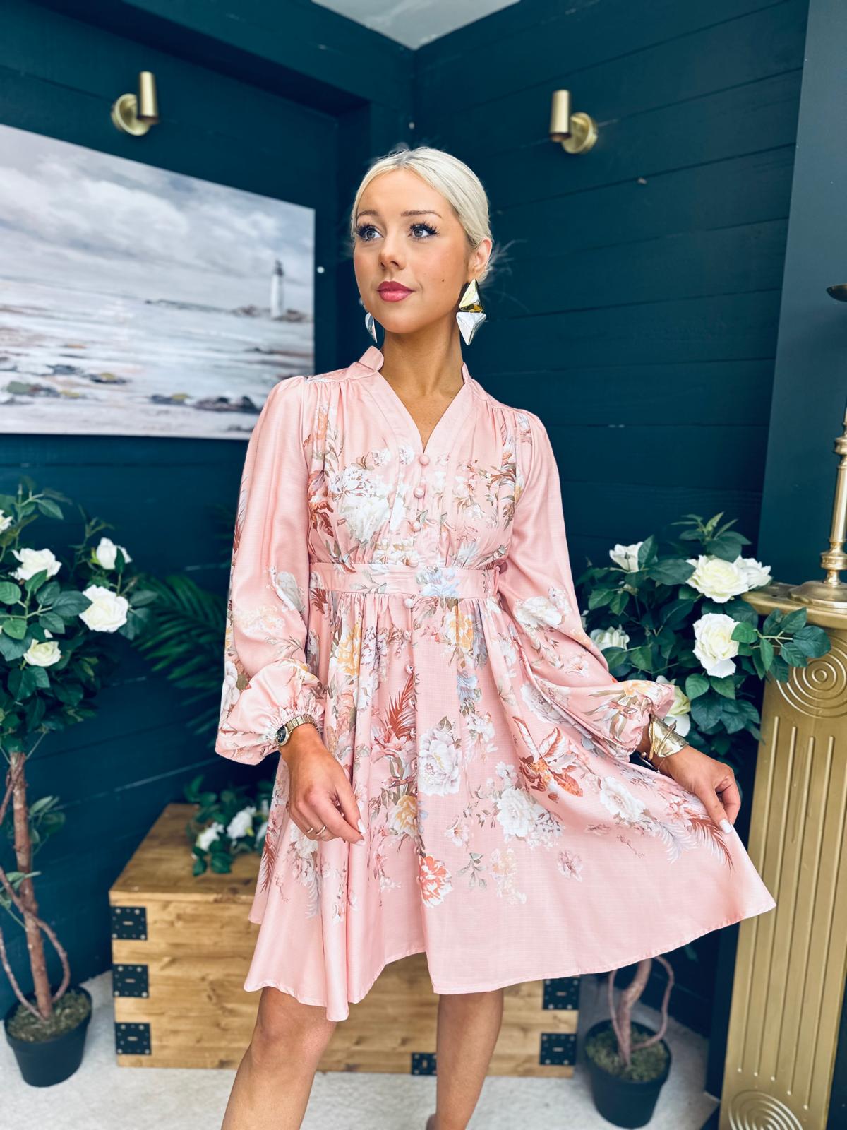 Leanne Detailed Occasion Dress Blush