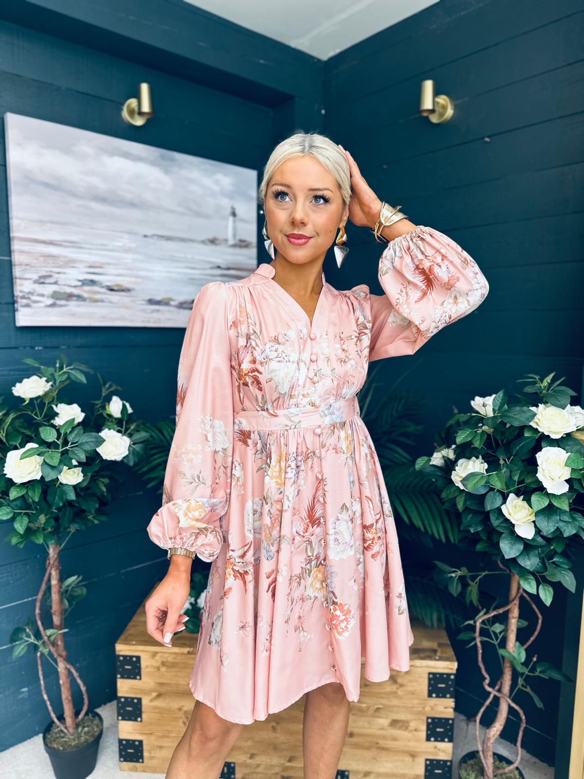 Leanne Detailed Occasion Dress Blush