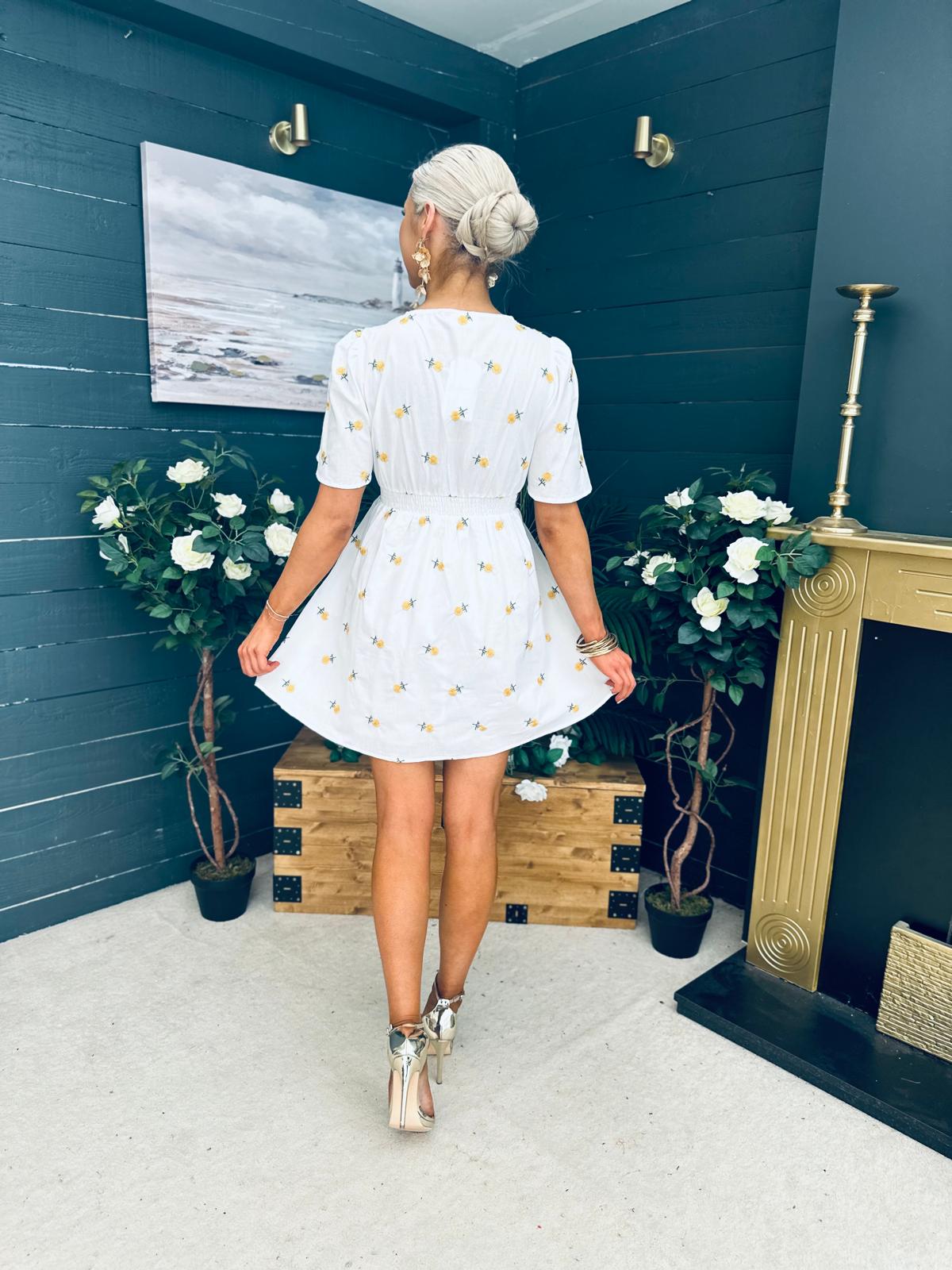 Paula Banded Mini Dress Floral White