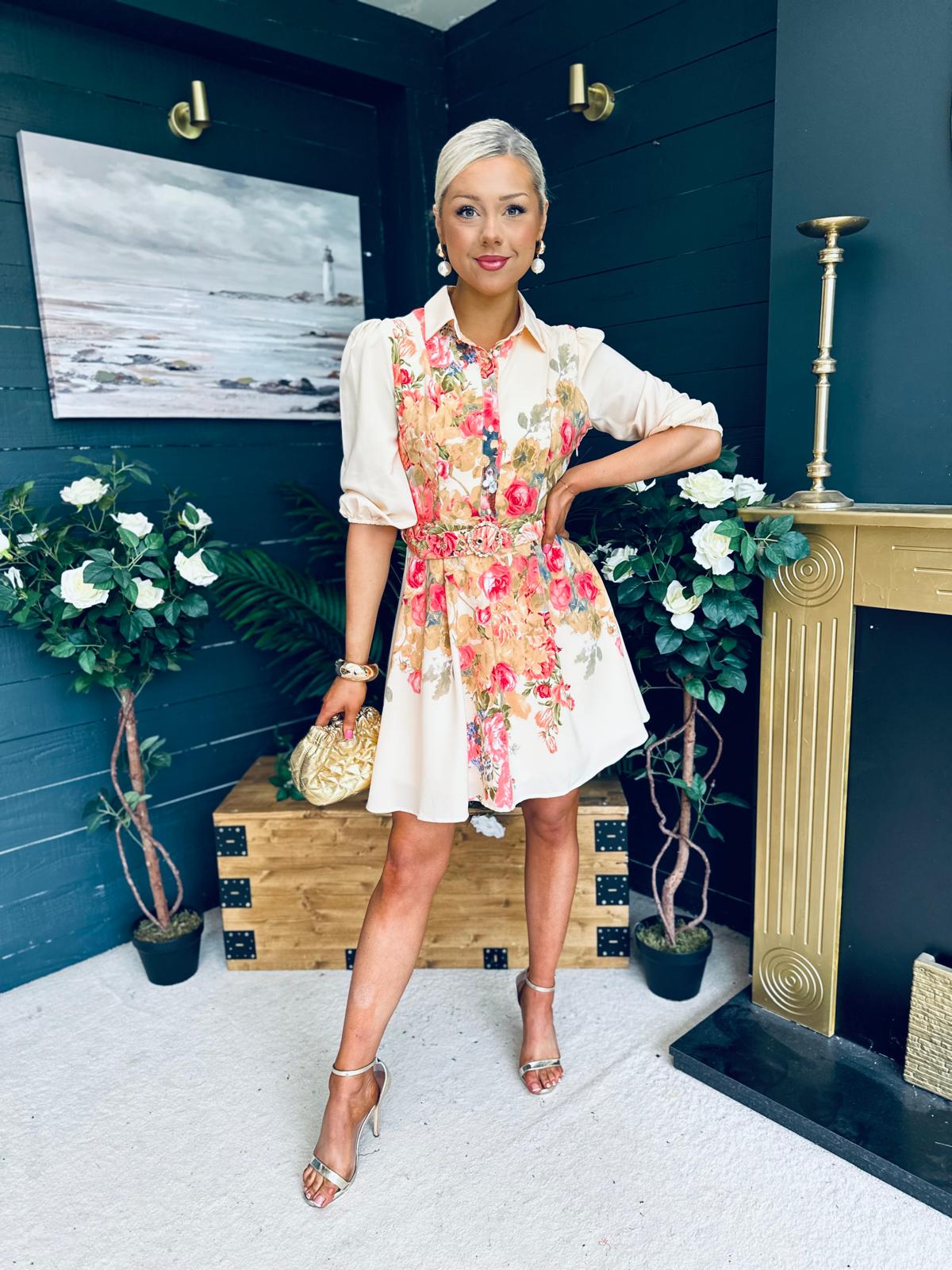 Holland Boarder Print Collar Mini Dress Cream