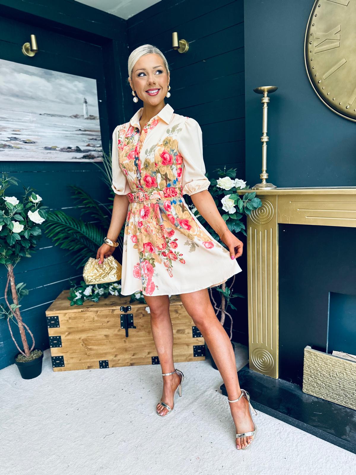 Holland Boarder Print Collar Mini Dress Cream
