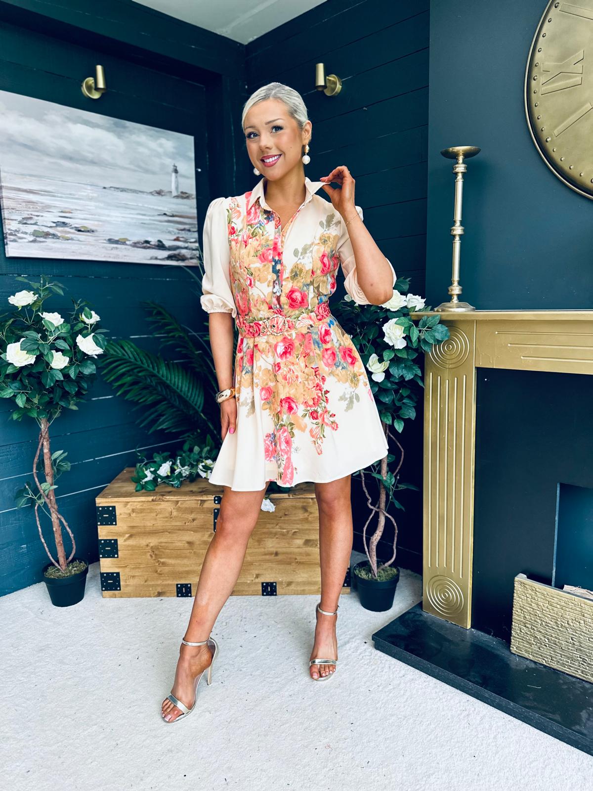 Holland Boarder Print Collar Mini Dress Cream