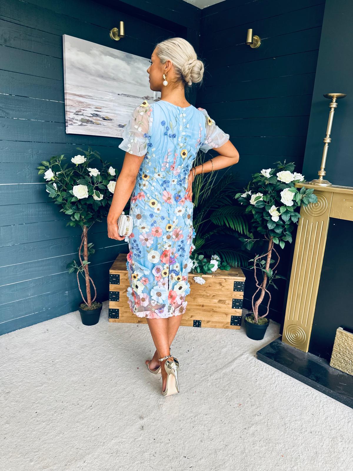 Mandy Embellished Occasion Dress Blue