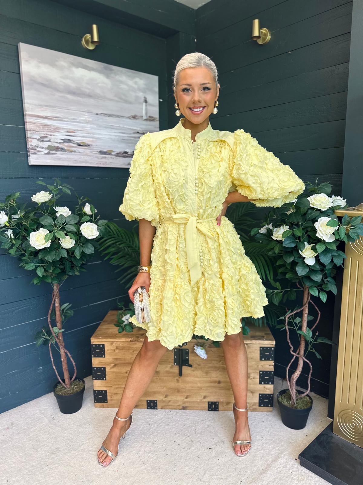 Monika Detailed Occasion Mini Dress Yellow