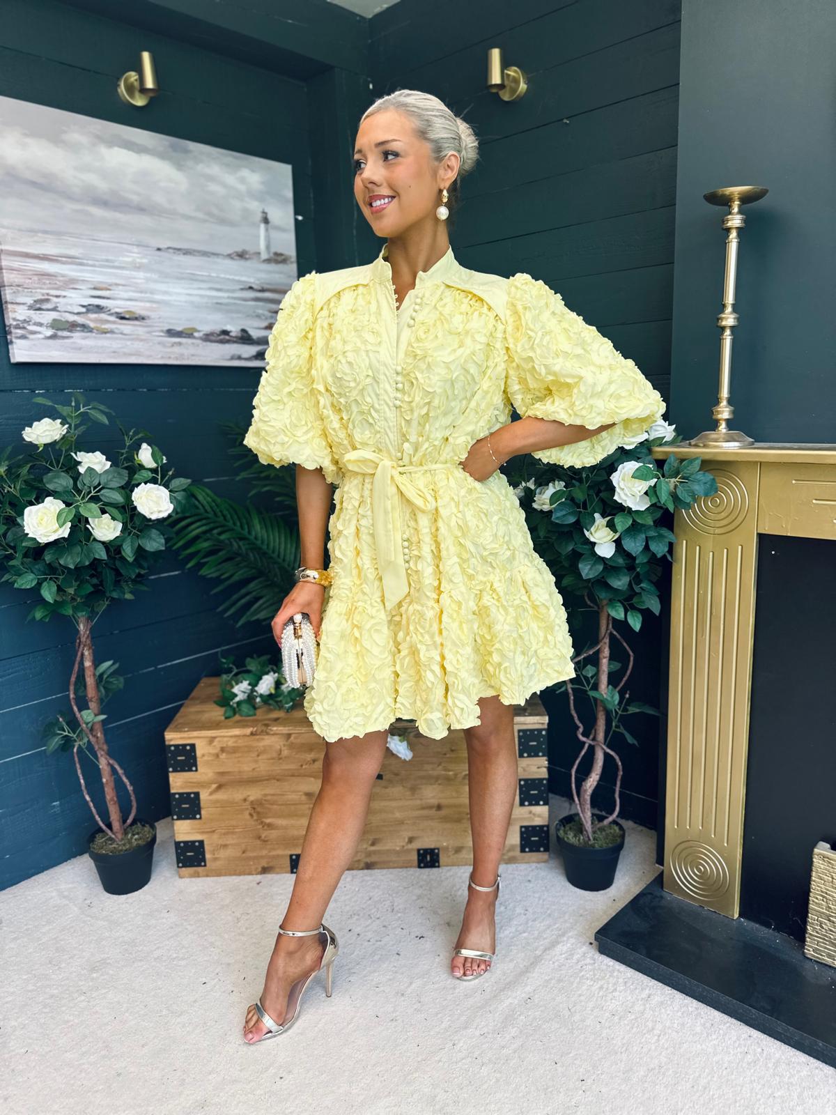 Monika Detailed Occasion Mini Dress Yellow