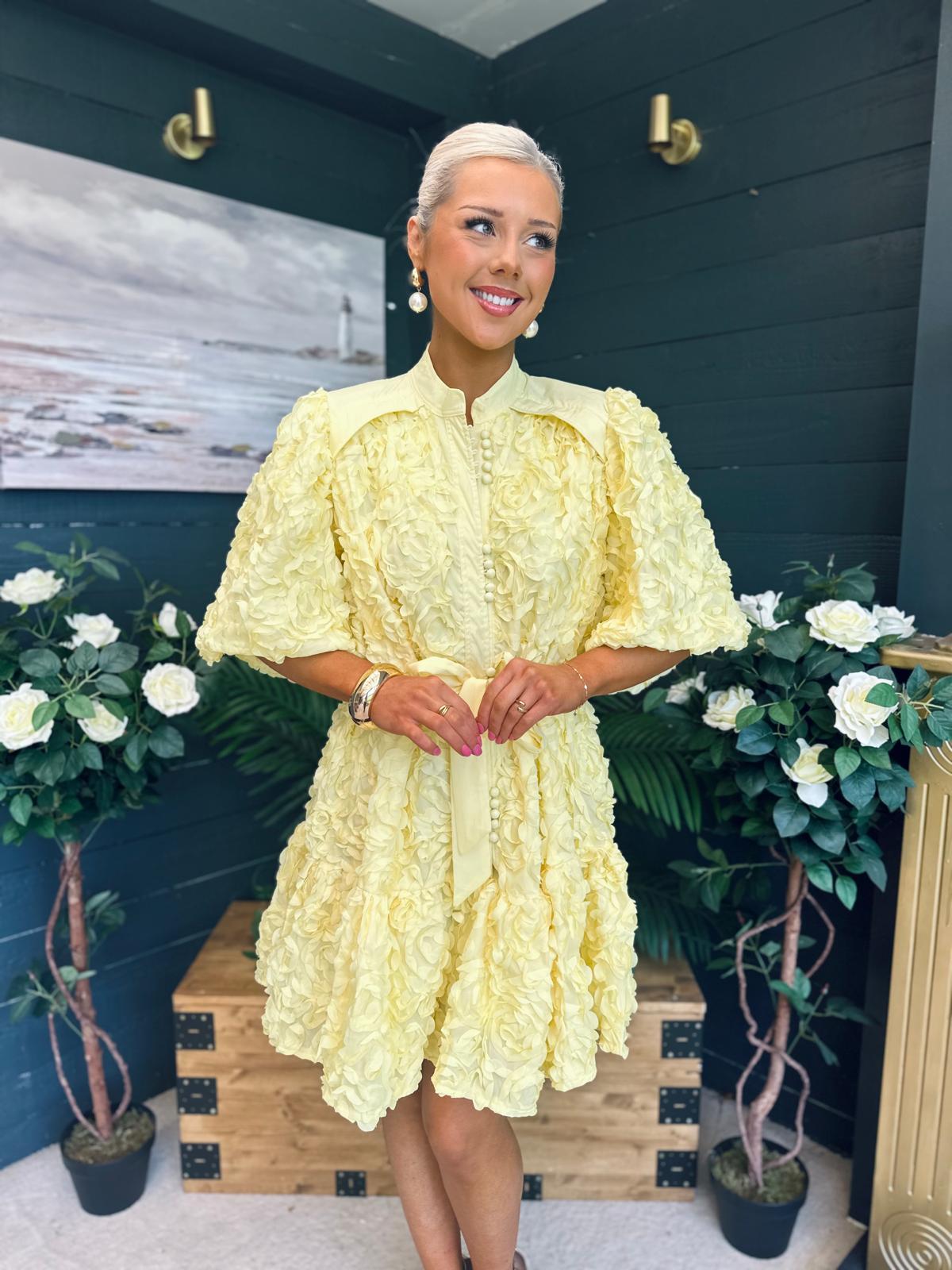 Monika Detailed Occasion Mini Dress Yellow