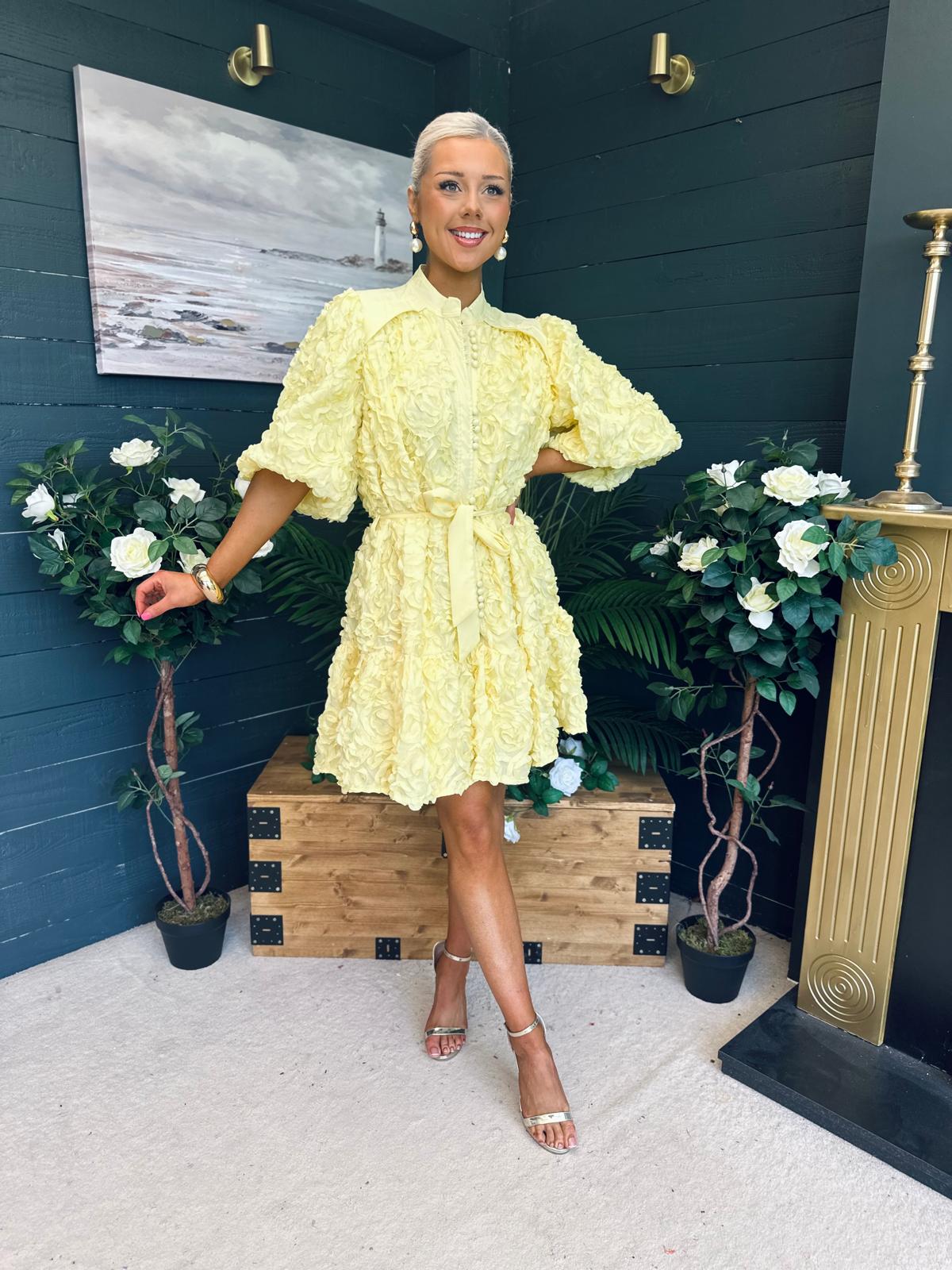 Monika Detailed Occasion Mini Dress Yellow