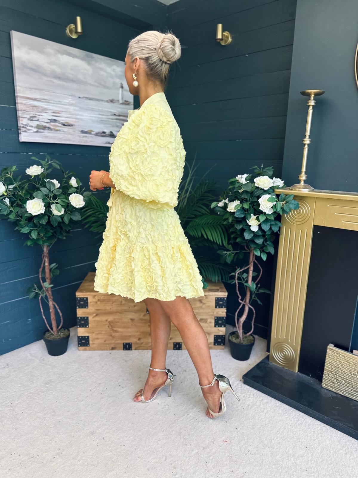 Monika Detailed Occasion Mini Dress Yellow