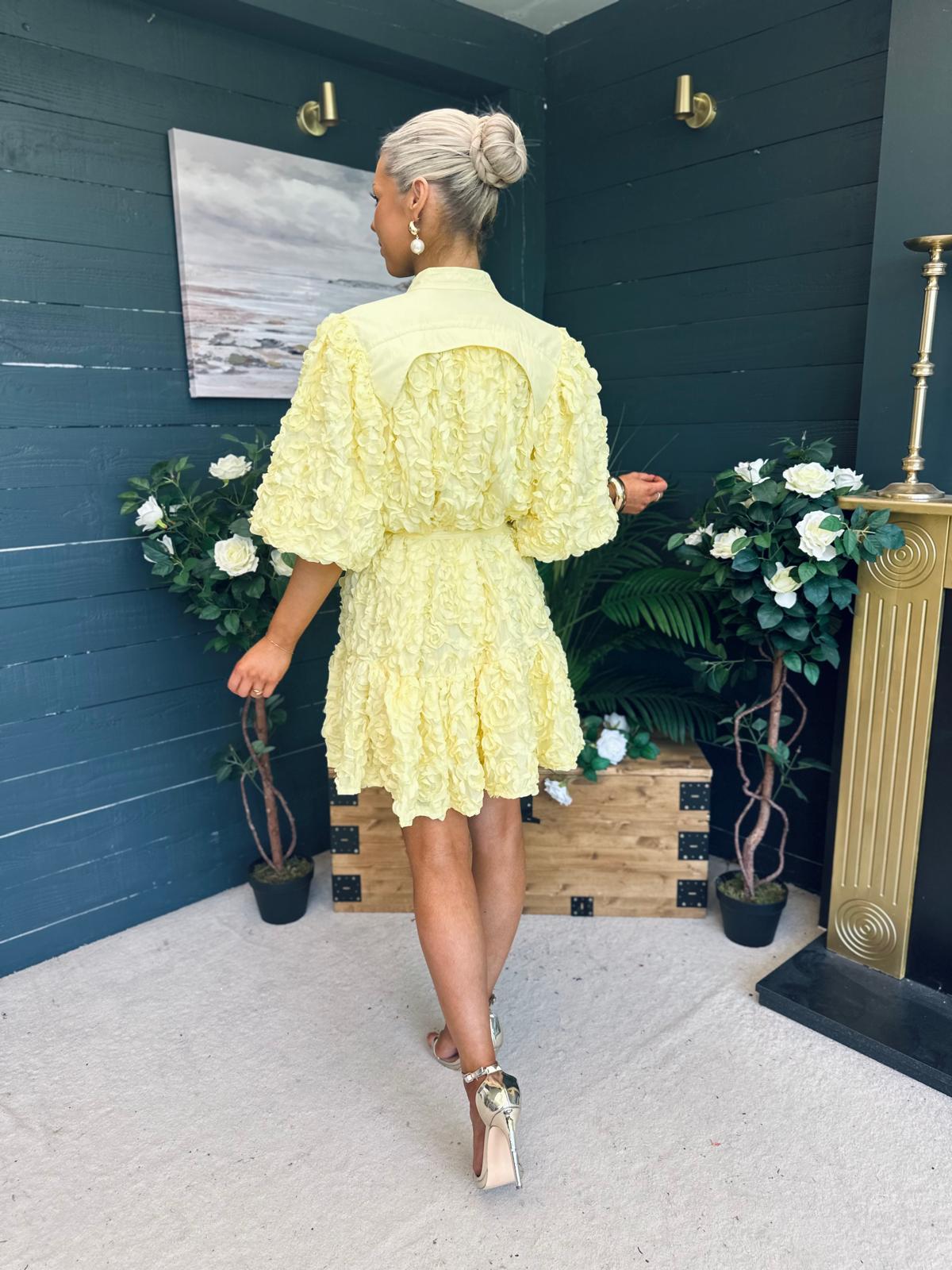 Monika Detailed Occasion Mini Dress Yellow