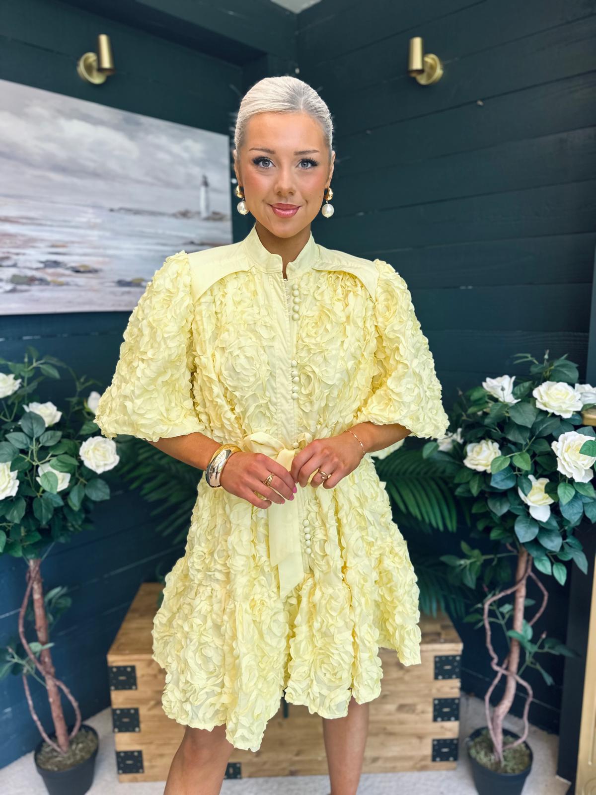 Monika Detailed Occasion Mini Dress Yellow