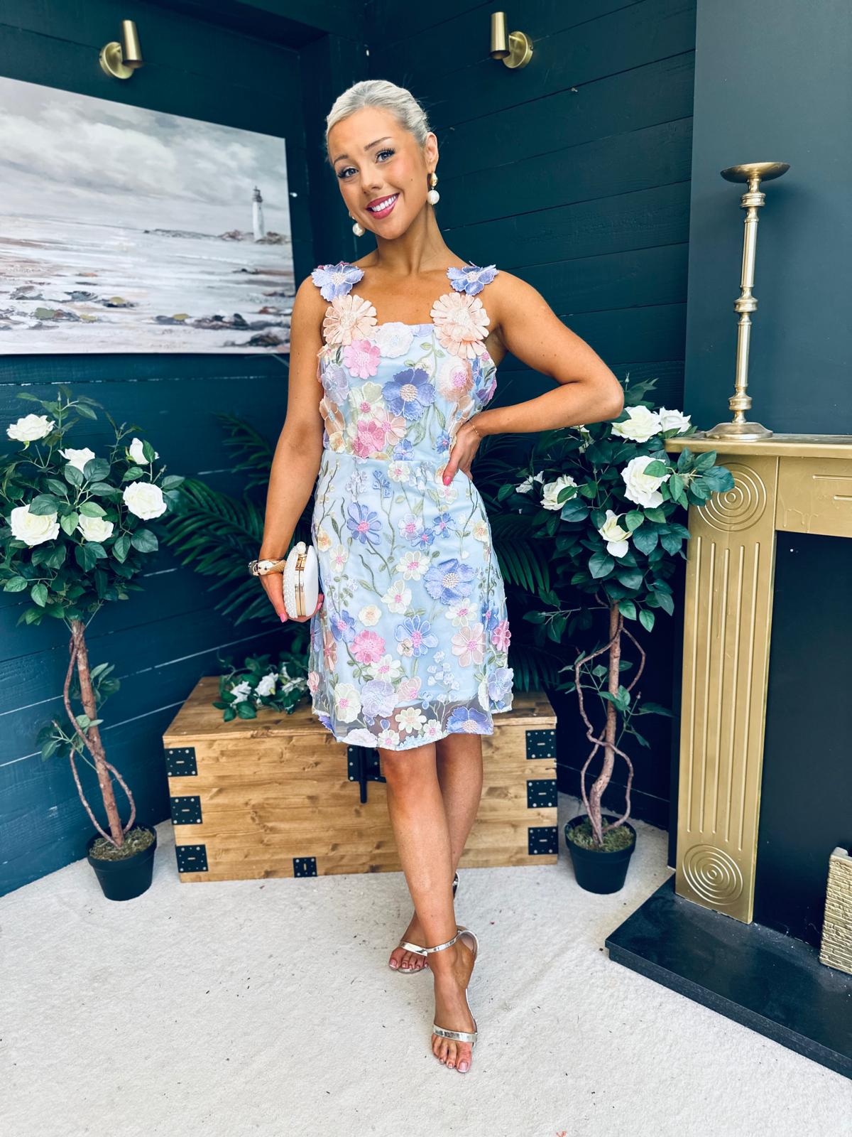 Hayley Embellished Occasion Mini Dress Blue