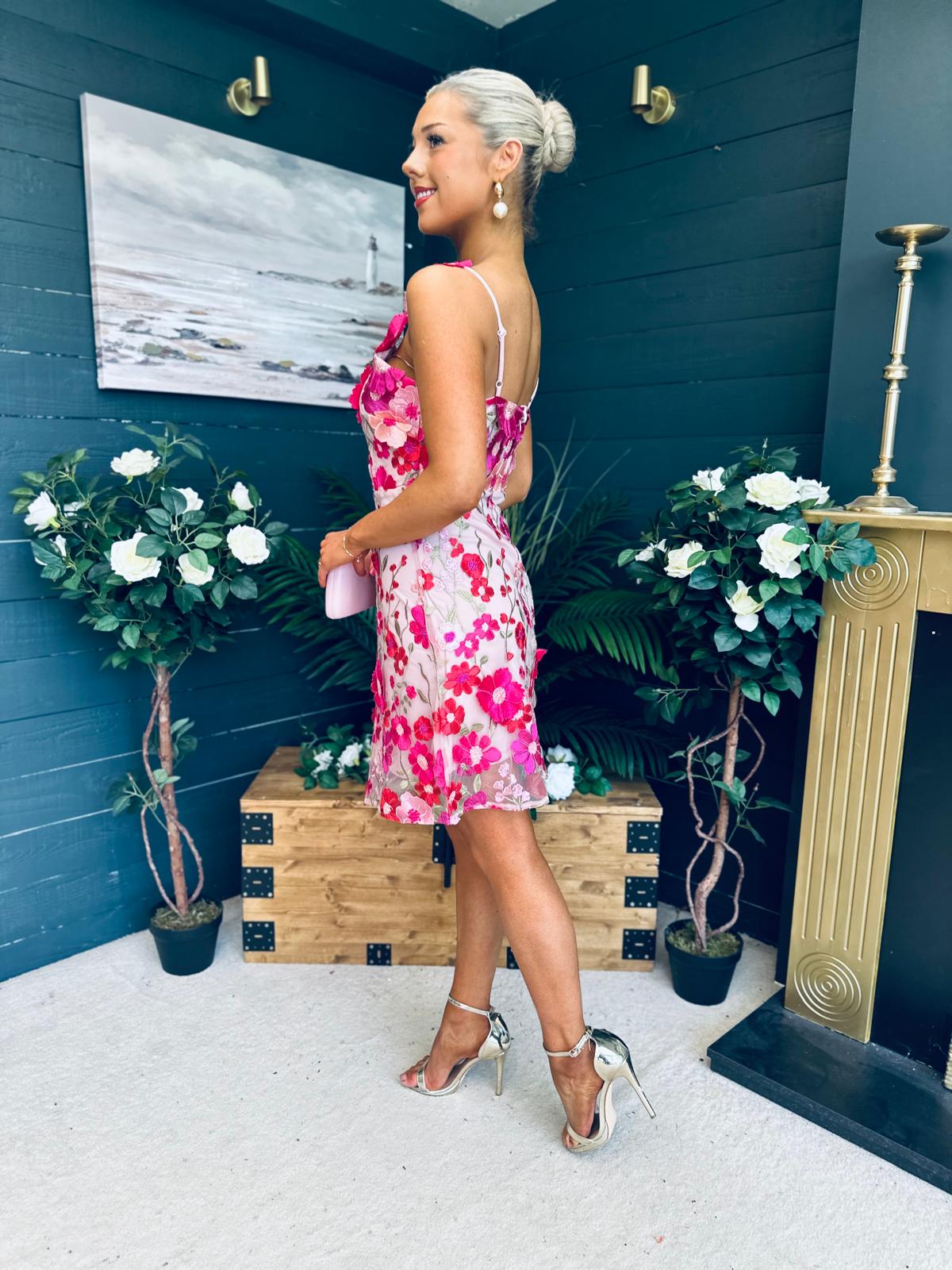 Hayley Embellished Occasion Mini Dress Pink