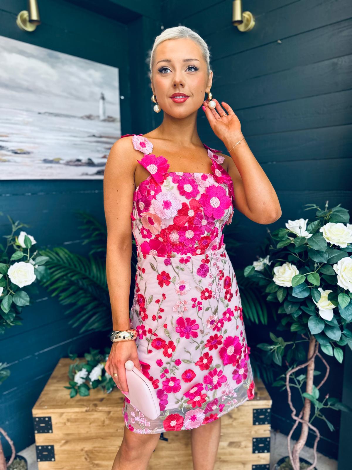 Hayley Embellished Occasion Mini Dress Pink