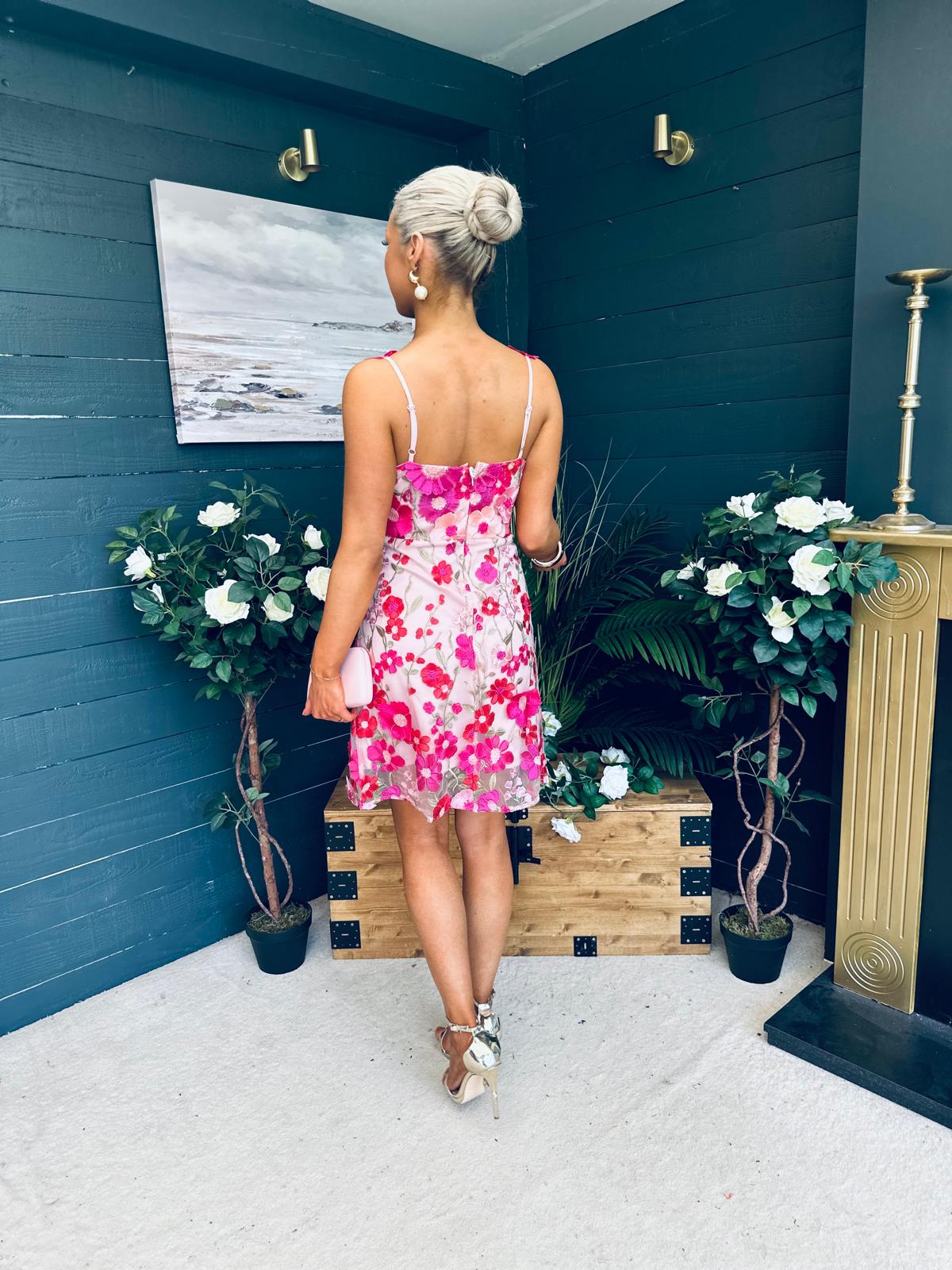 Hayley Embellished Occasion Mini Dress Pink