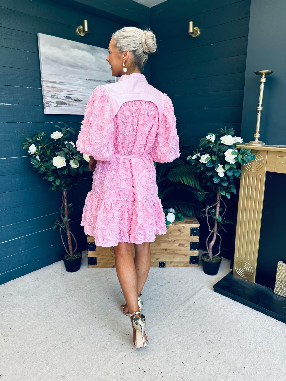 Monika Detailed Occasion Mini Dress Pink