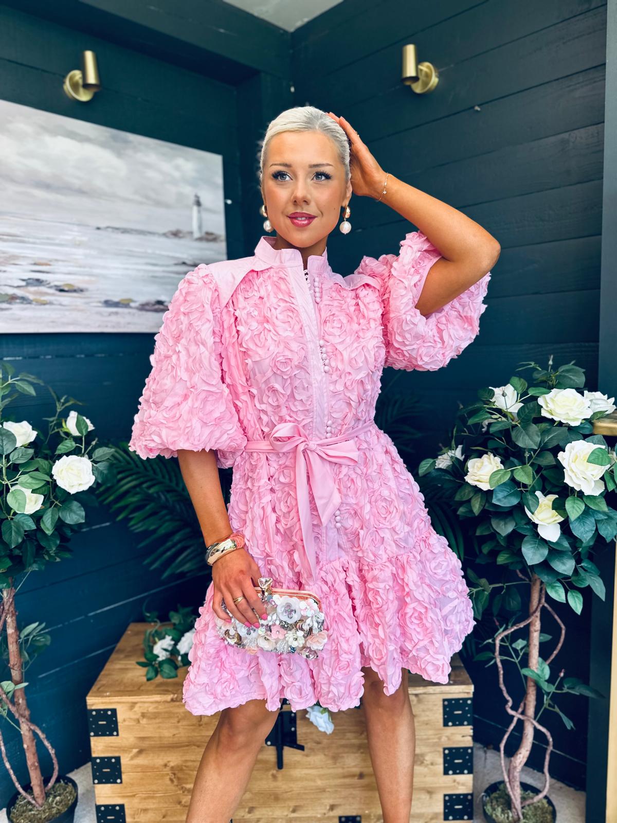 Monika Detailed Occasion Mini Dress Pink