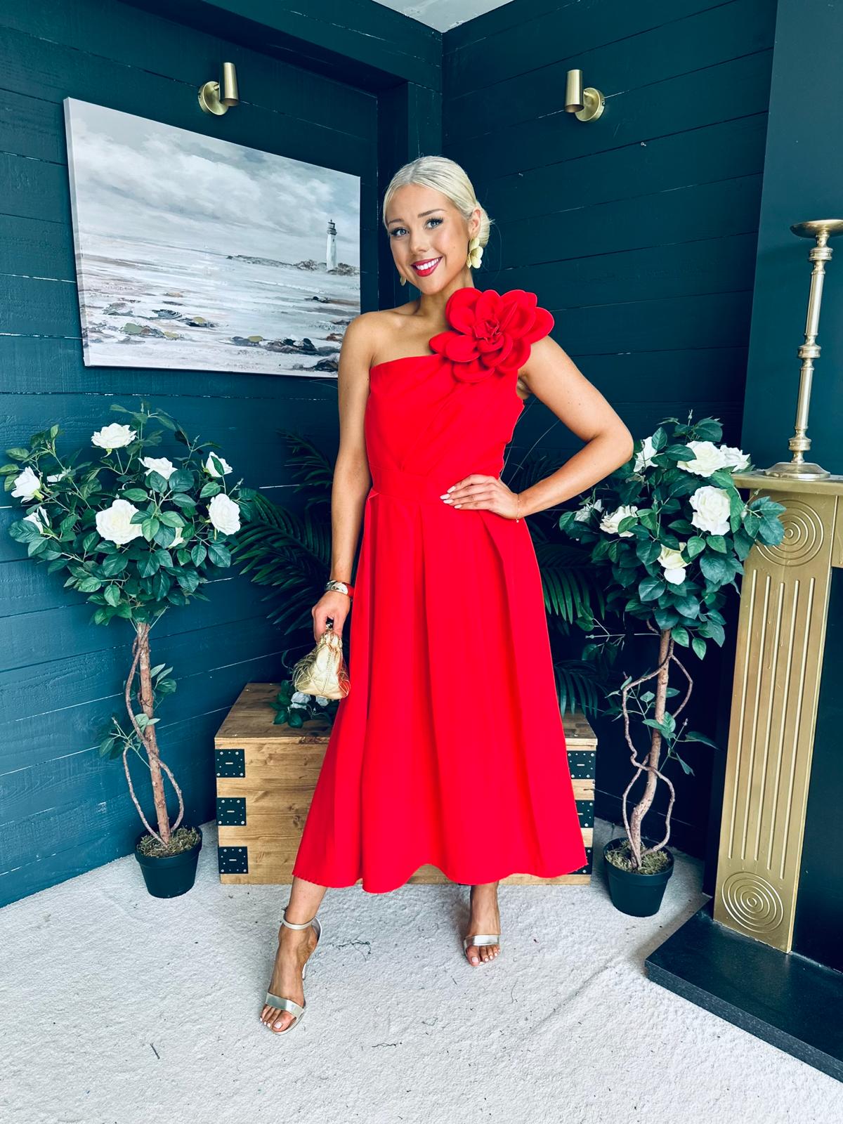 Courtney Floral Detailed Occasion Dress Red