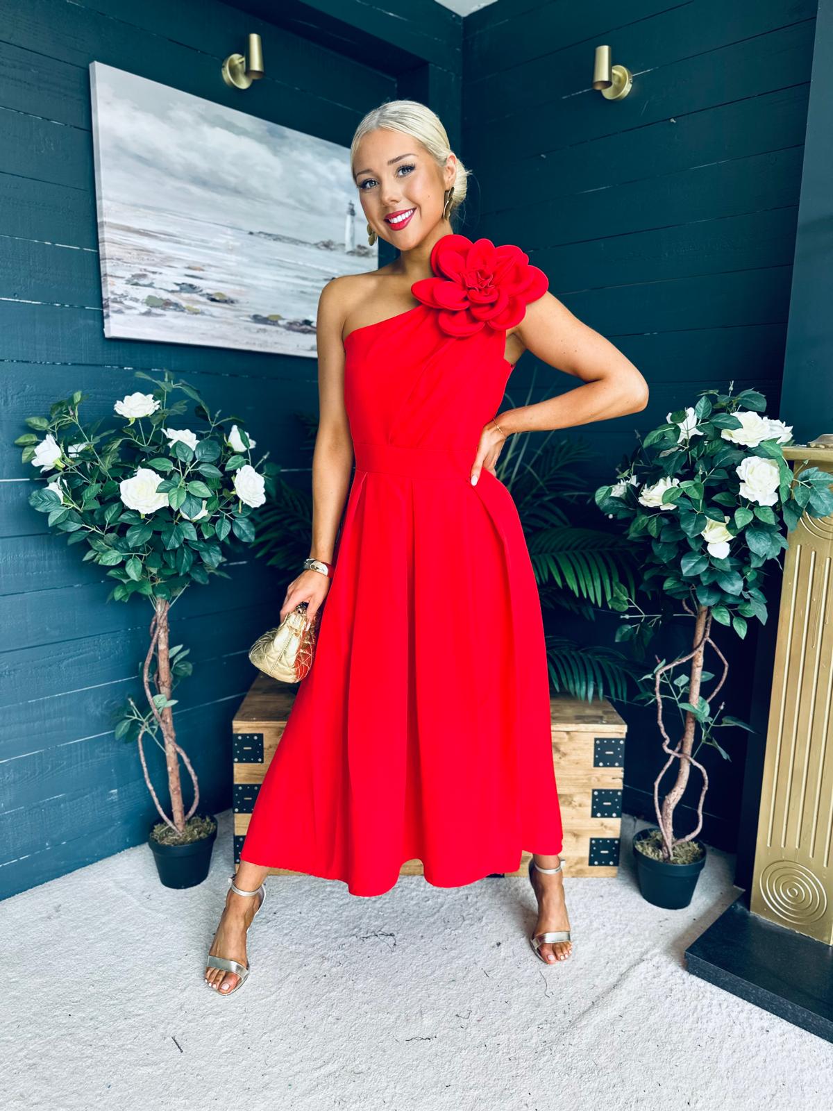 Courtney Floral Detailed Occasion Dress Red