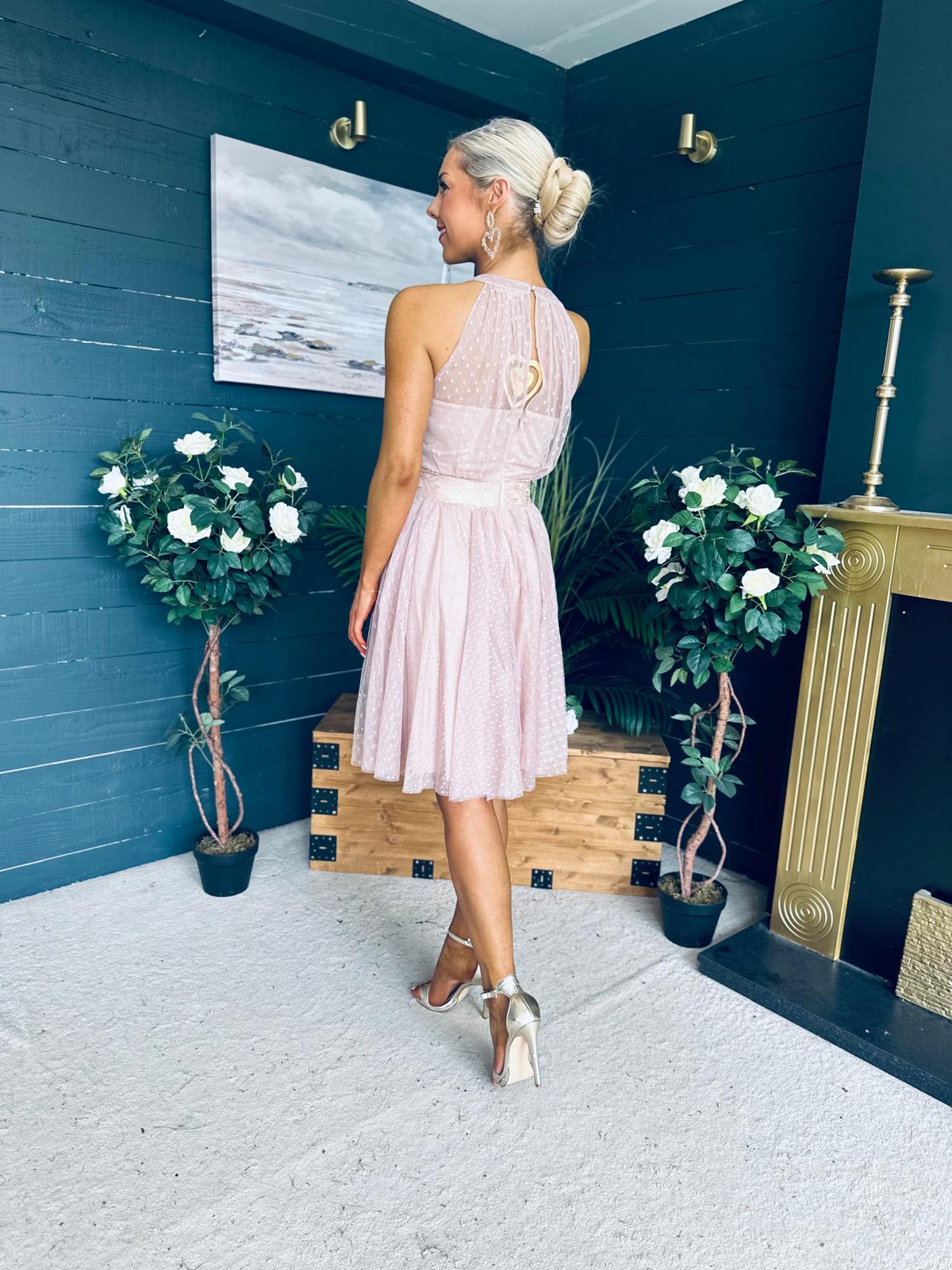 Vera Occasion Tulle Mini Dress Blush