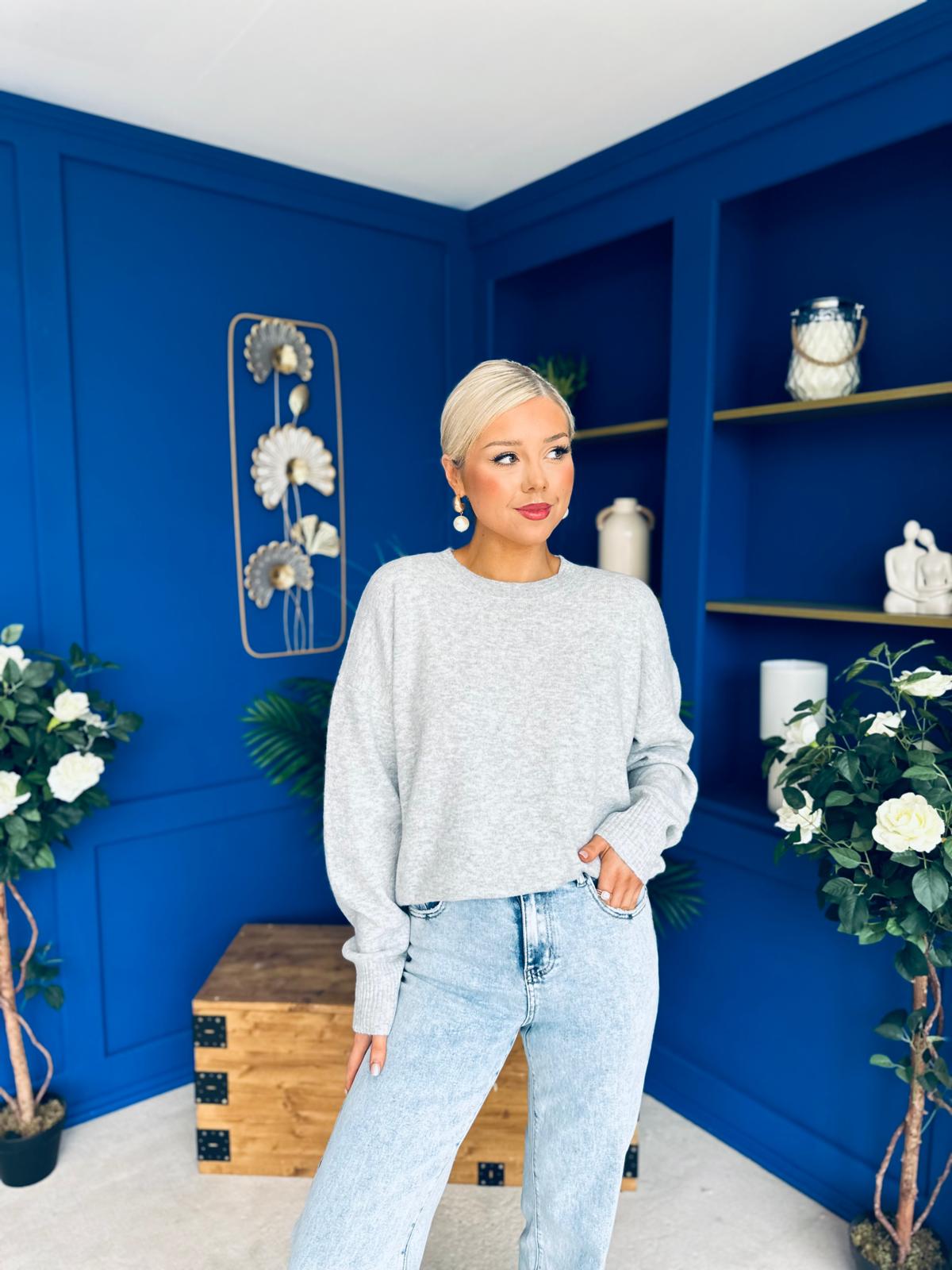Paula Soft Knit Jumper Light Grey