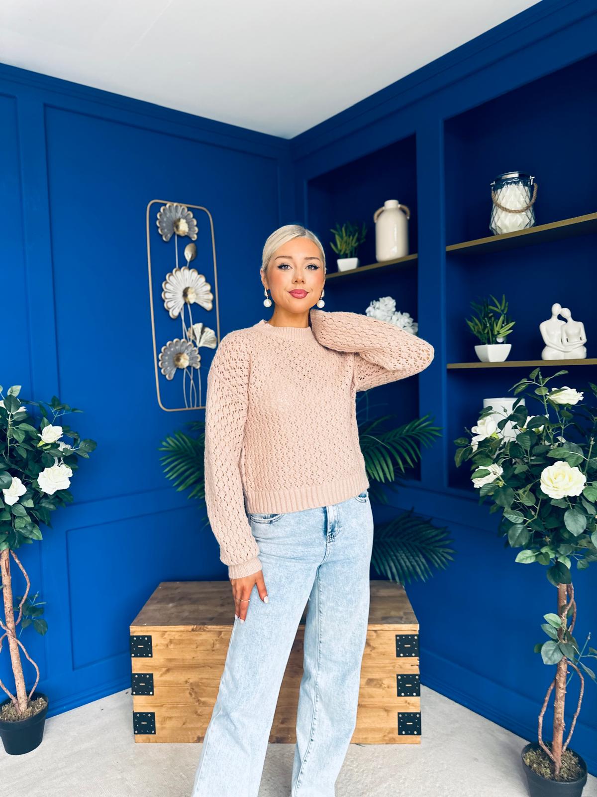 Angela Chunky Knit Jumper Blush
