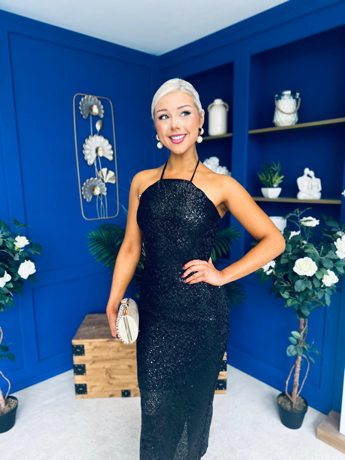 Aifric Sequin Slinky Dress Black