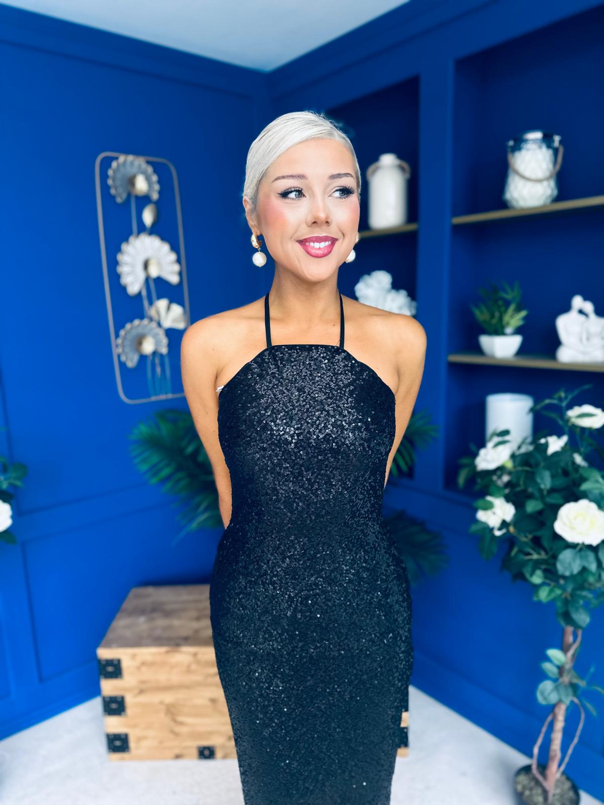 Aifric Sequin Slinky Dress Black