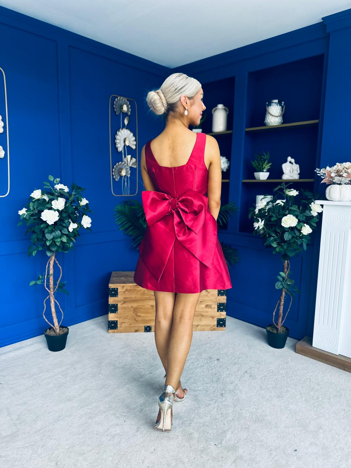 Feyre Bow Detail Sleeves Mini Dress Wine