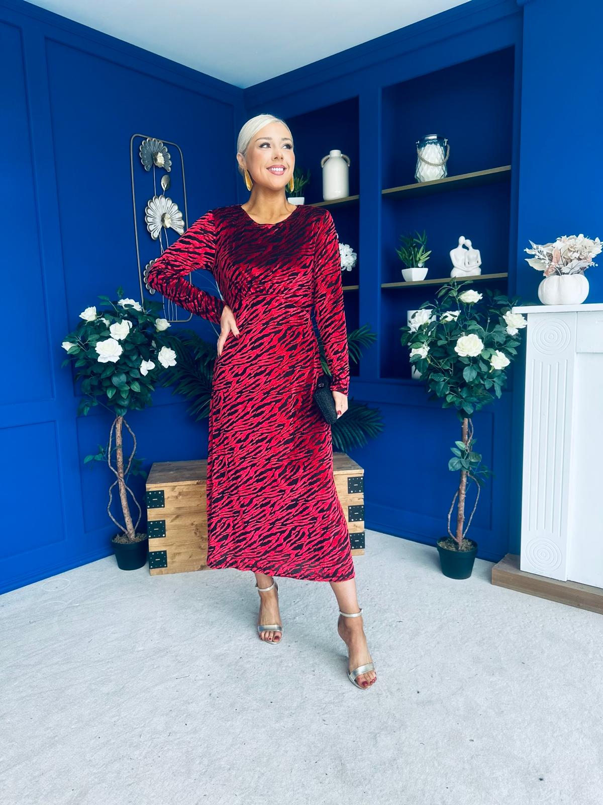 Dakota Detailed Velvet Occasion Dress Wine