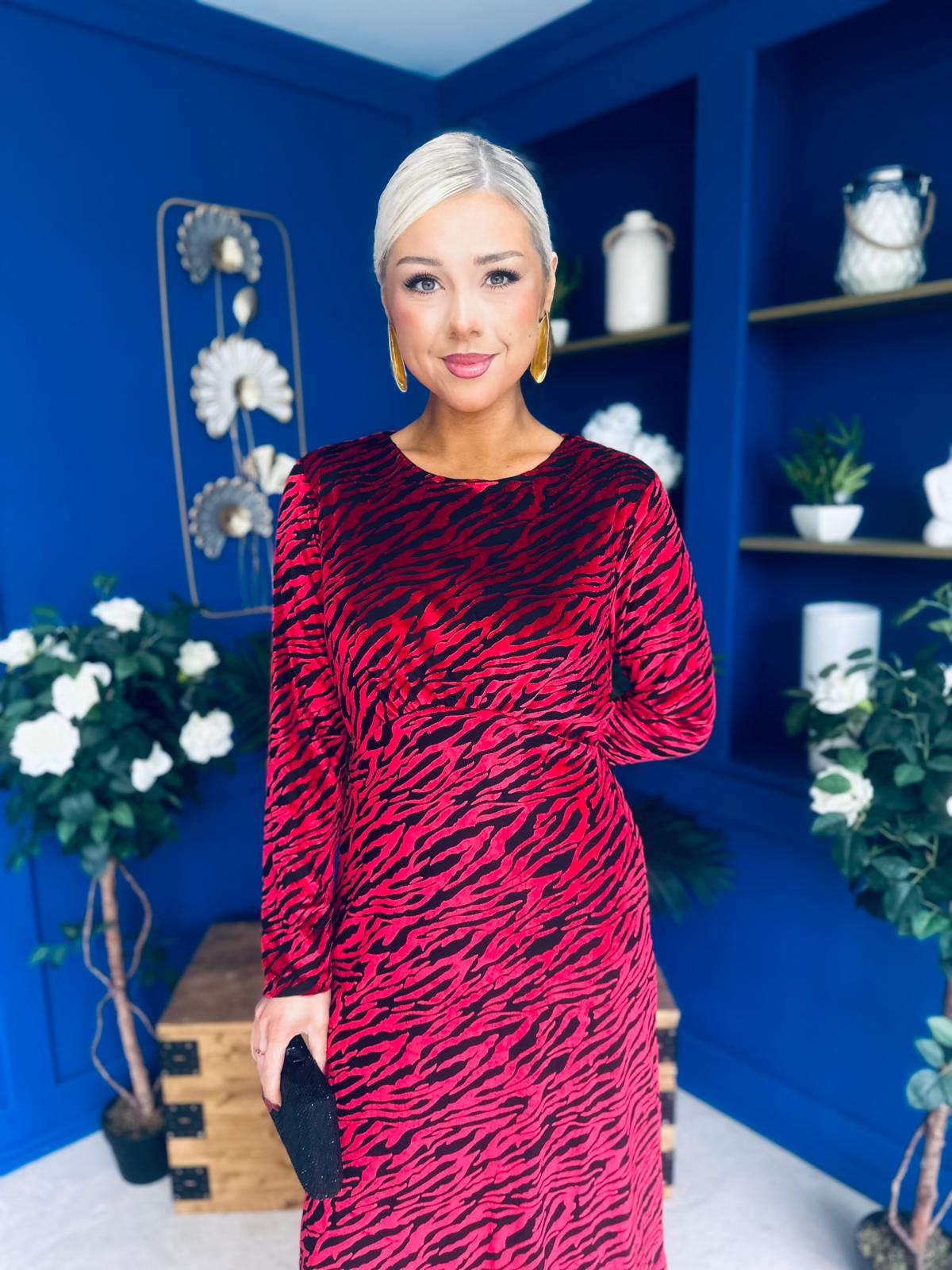 Dakota Detailed Velvet Occasion Dress Wine