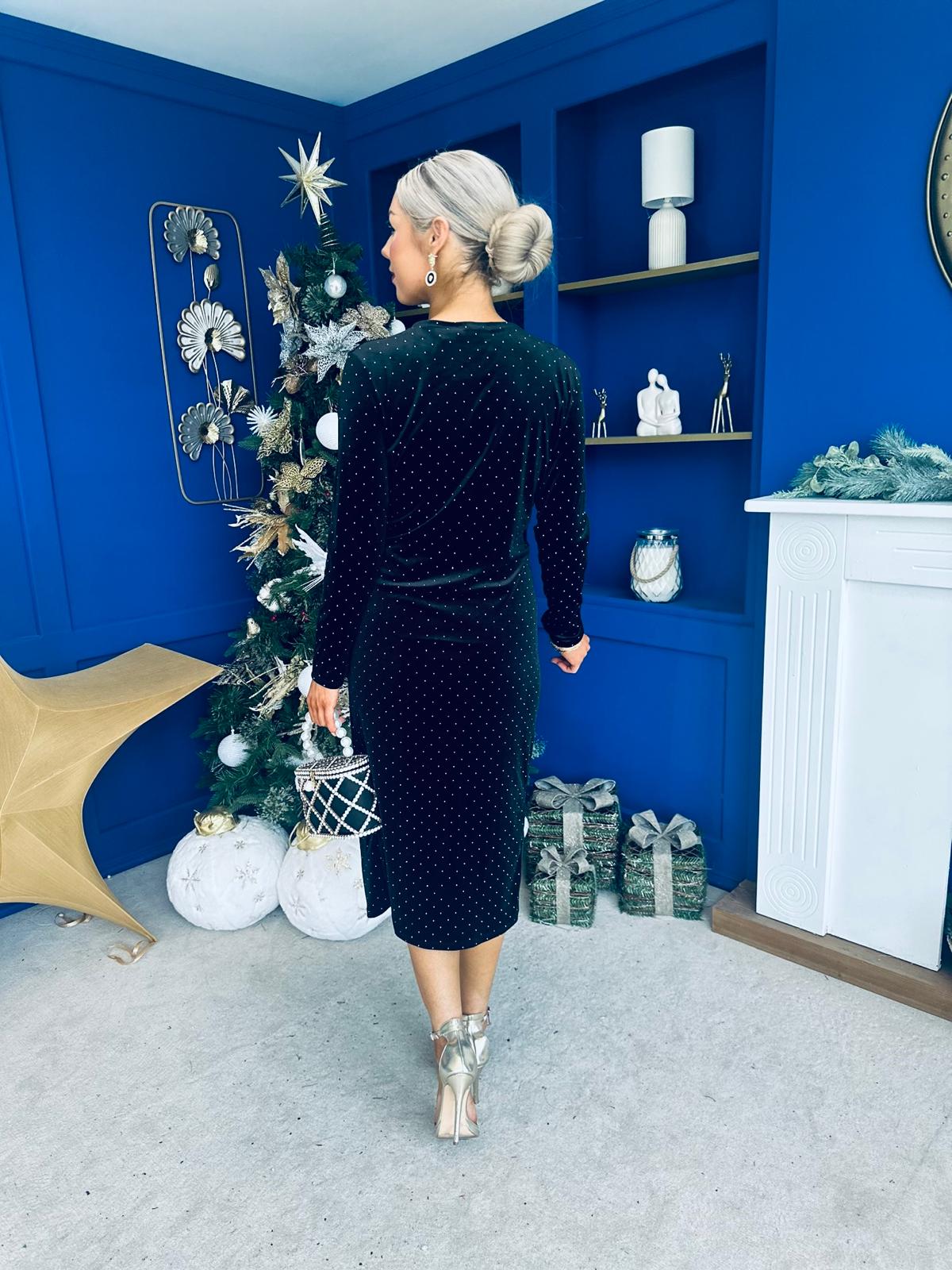 Dora Studded Velvet Occasion Dress Black