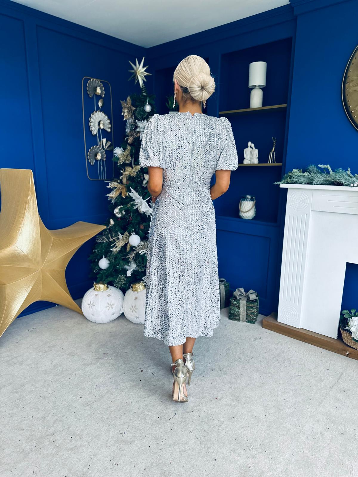 Berkley Sequin Occasion Dress Silver