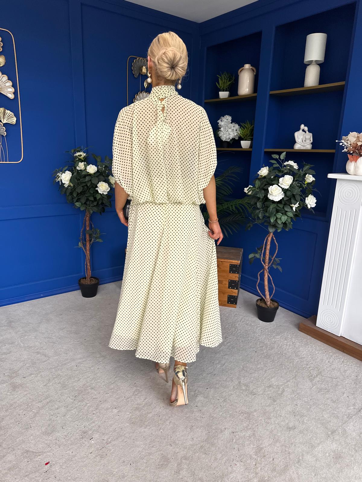 Phoebe Chiffon Detailed Top & Skirt Set Polka Yellow