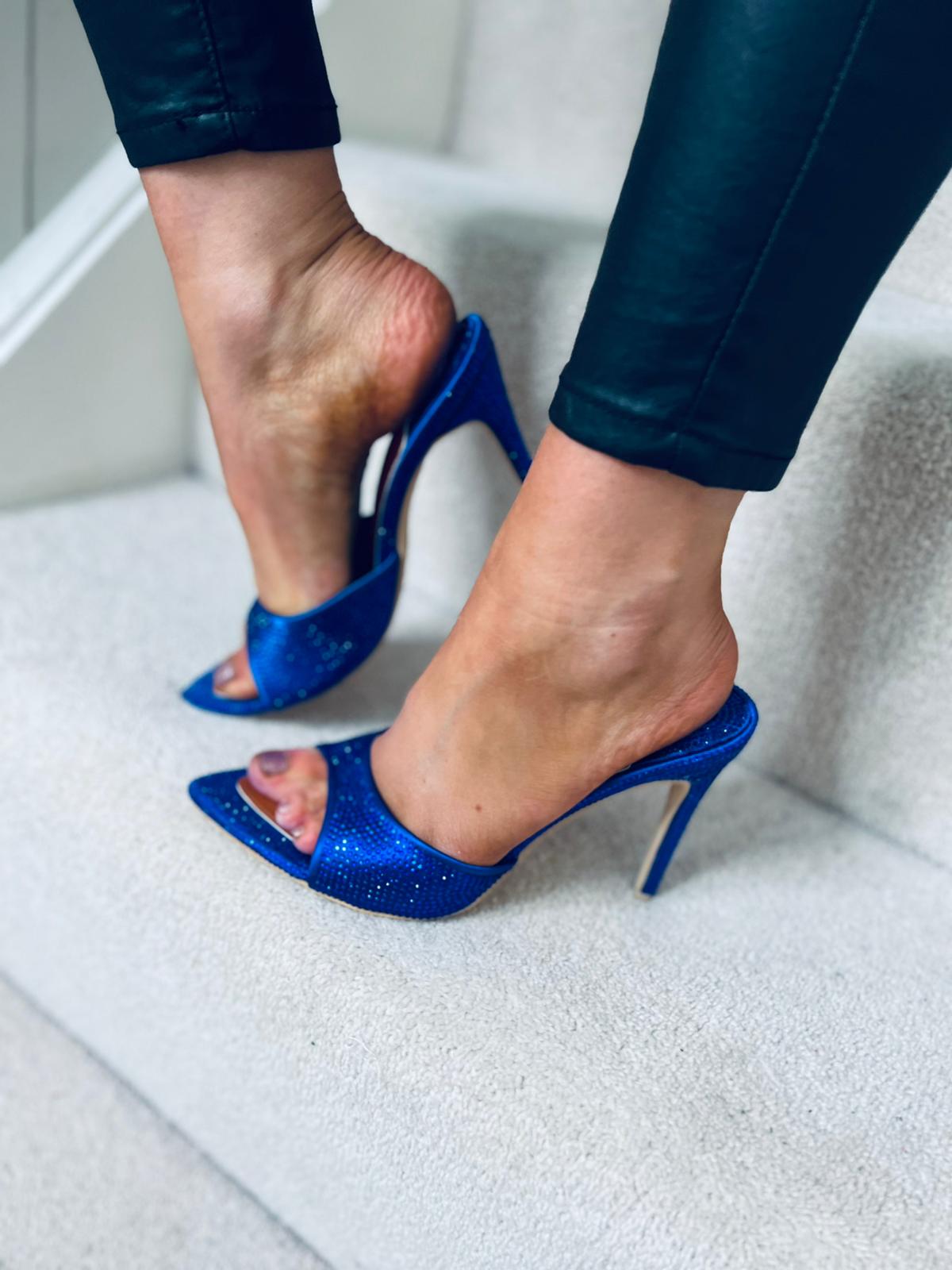 Ria Embellished Shoes Blue