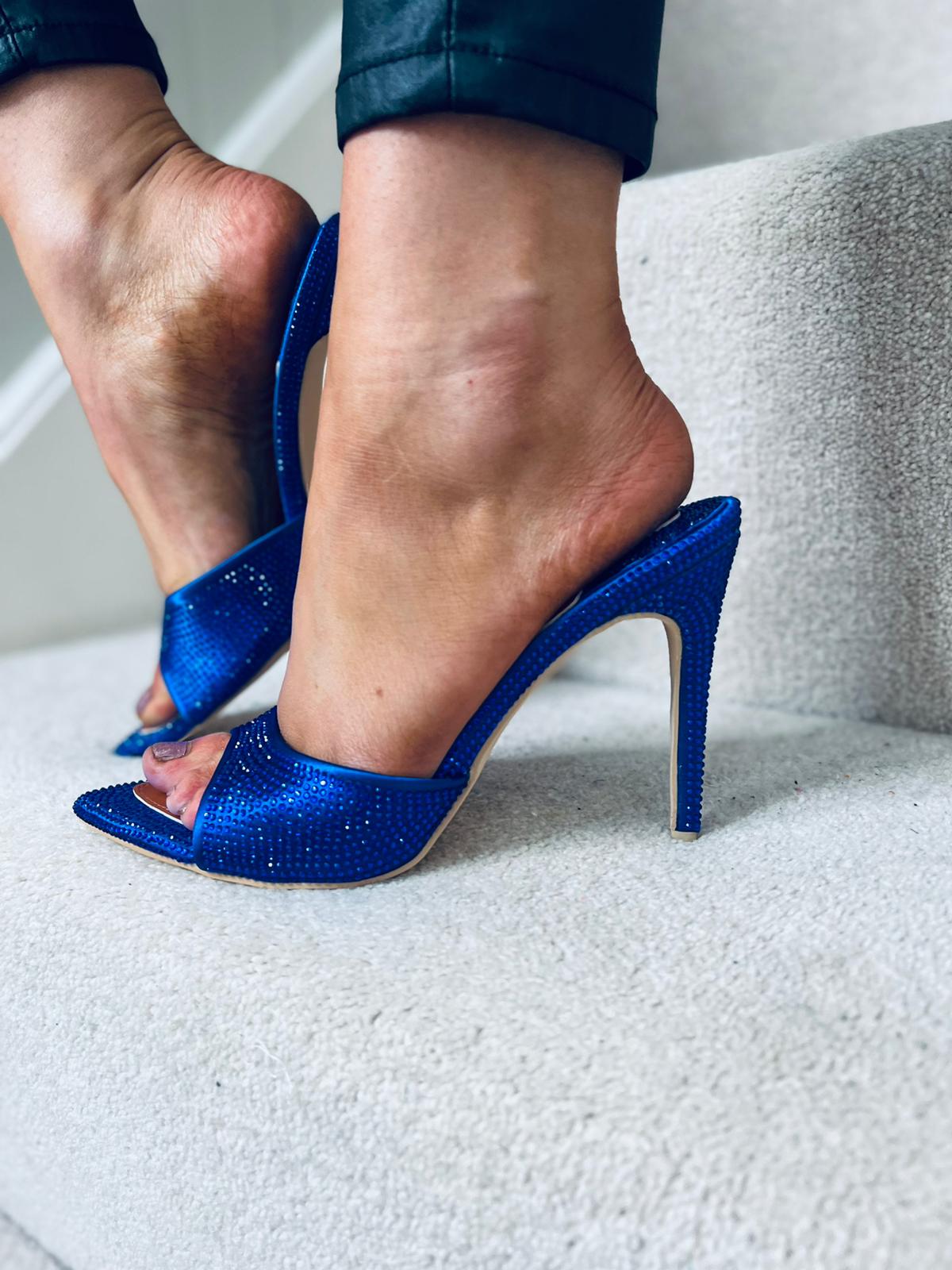 Ria Embellished Shoes Blue